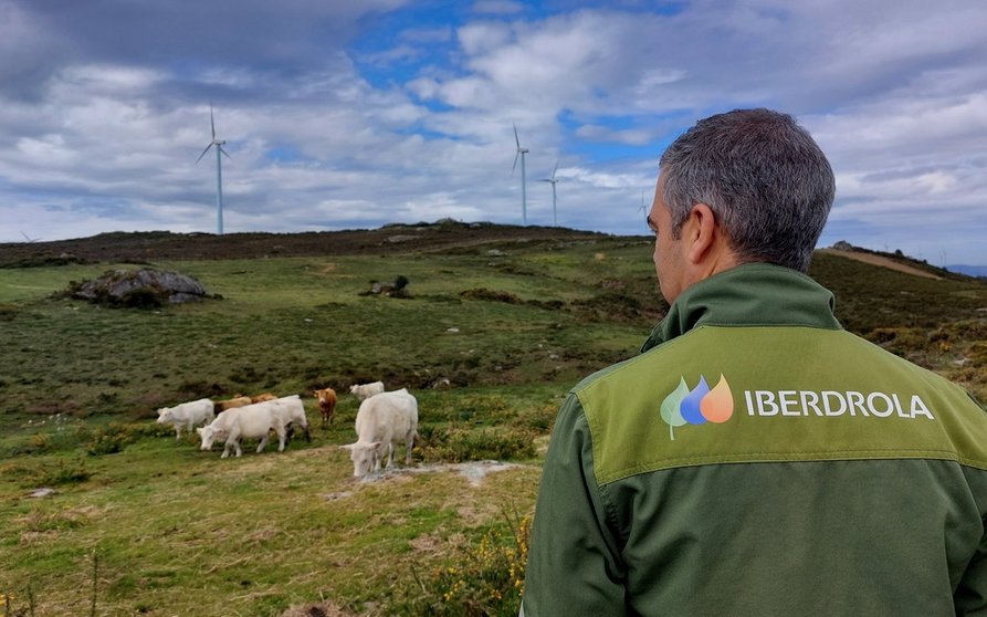 Iberdrola dispone en Galicia de una potencia de 2.217 MW, de los que 2.208 son renovables./CEDIDA.